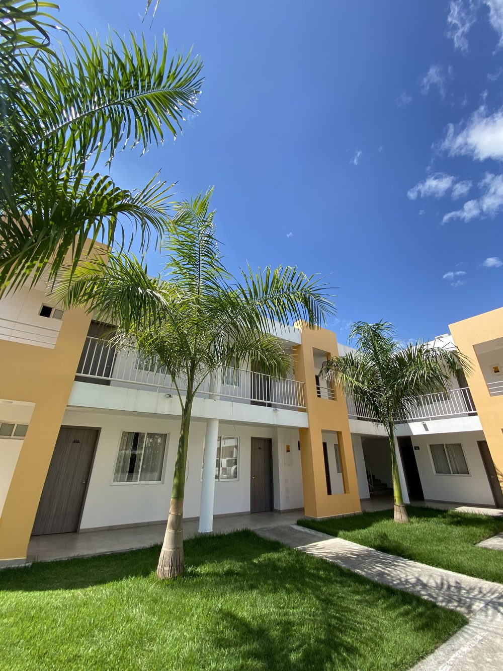 Rooms among palms and gardens