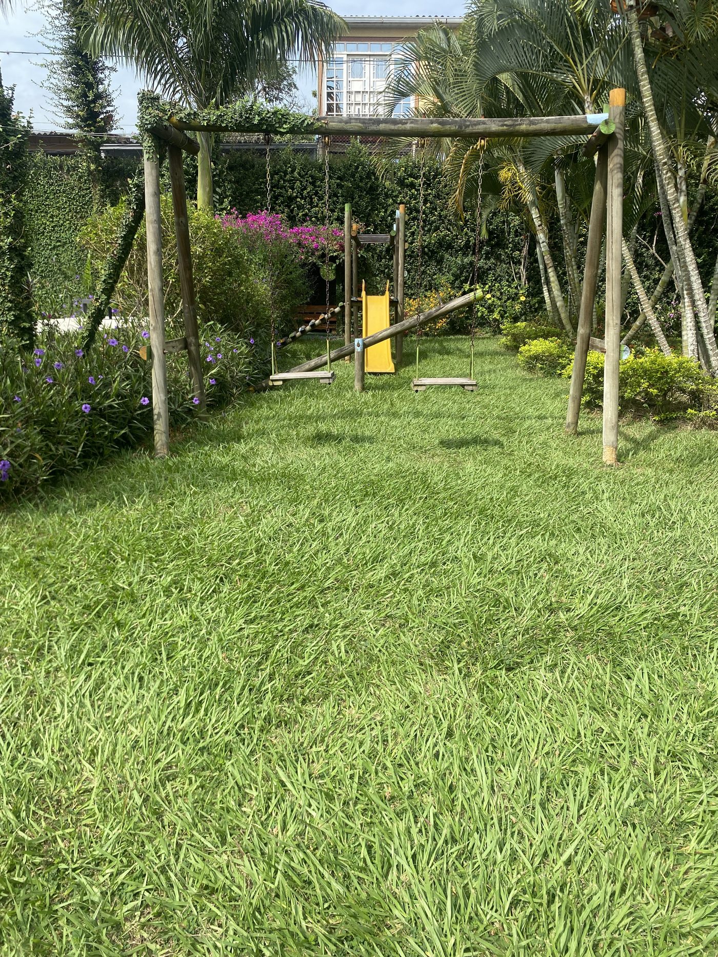 Playground among the palms