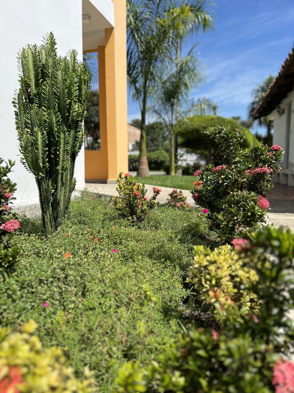 Flowering gardens